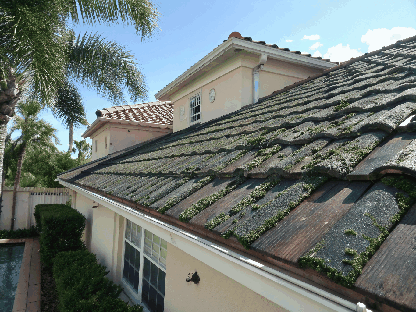 Soft wash roof cleaning on residential home