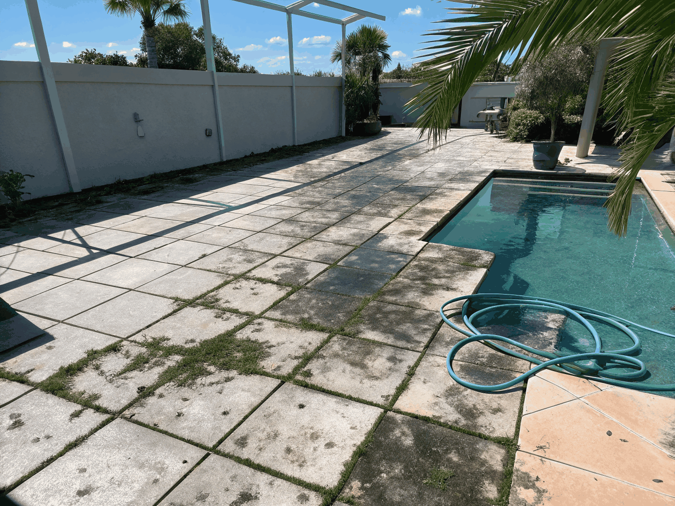 Pool Decks & Surrounds
